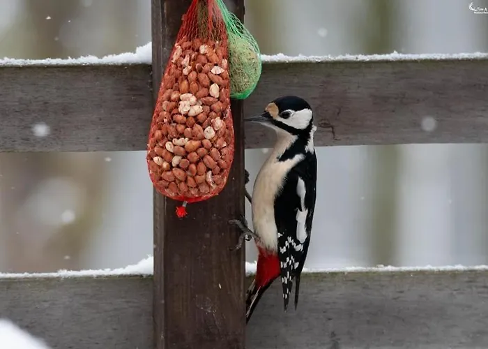 Genieterke Holiday home